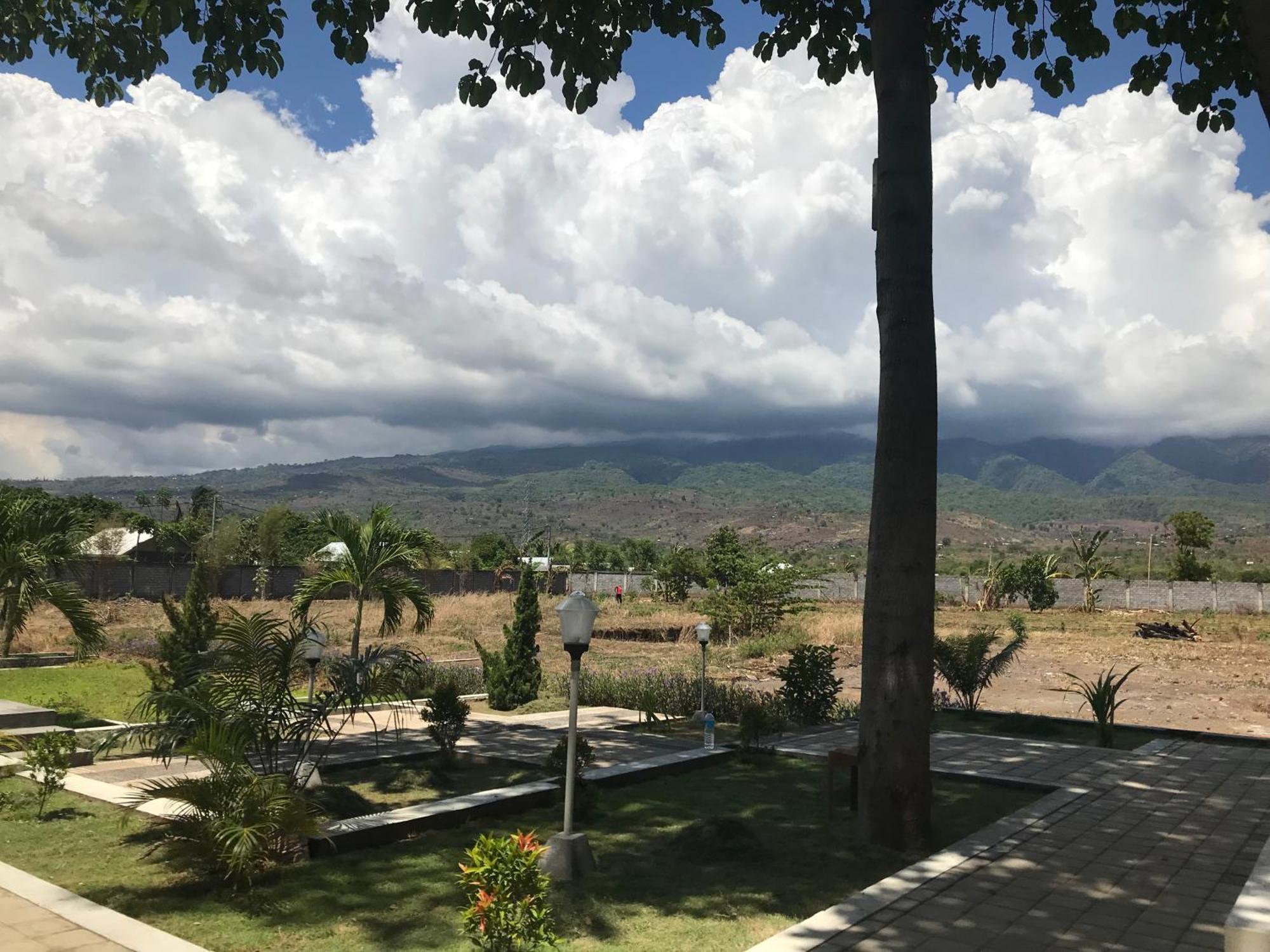 Pohon Purba Resort & Restaurant Labuhan Pandan ภายนอก รูปภาพ
