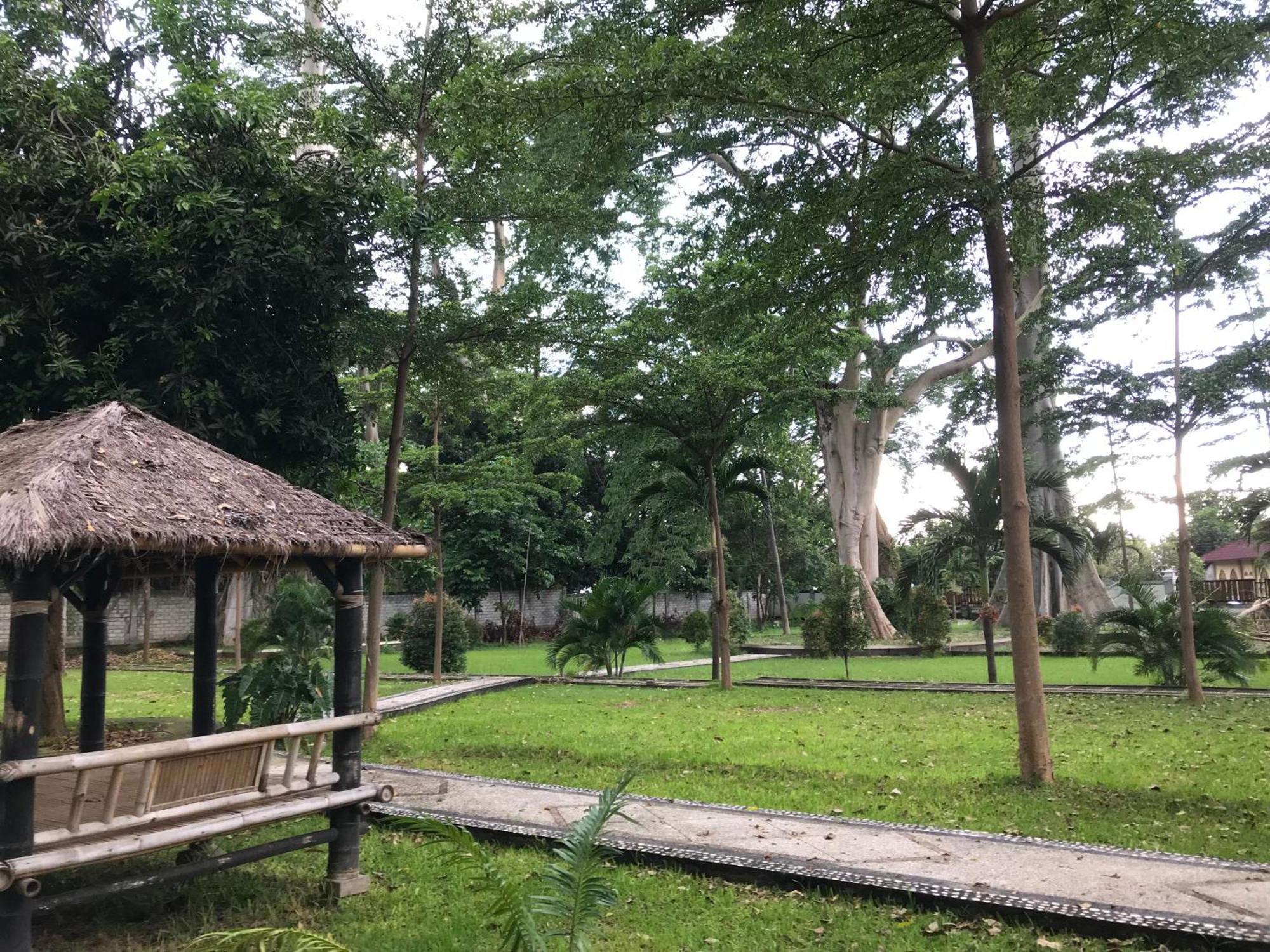 Pohon Purba Resort & Restaurant Labuhan Pandan ภายนอก รูปภาพ