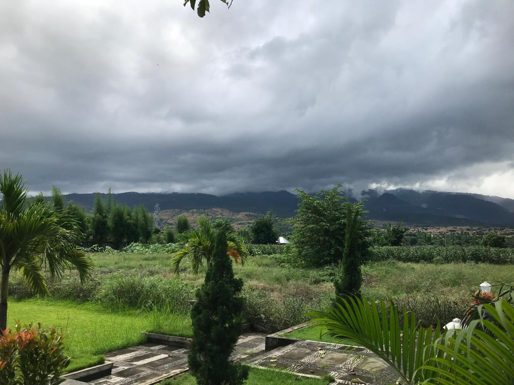 Pohon Purba Resort & Restaurant Labuhan Pandan ภายนอก รูปภาพ