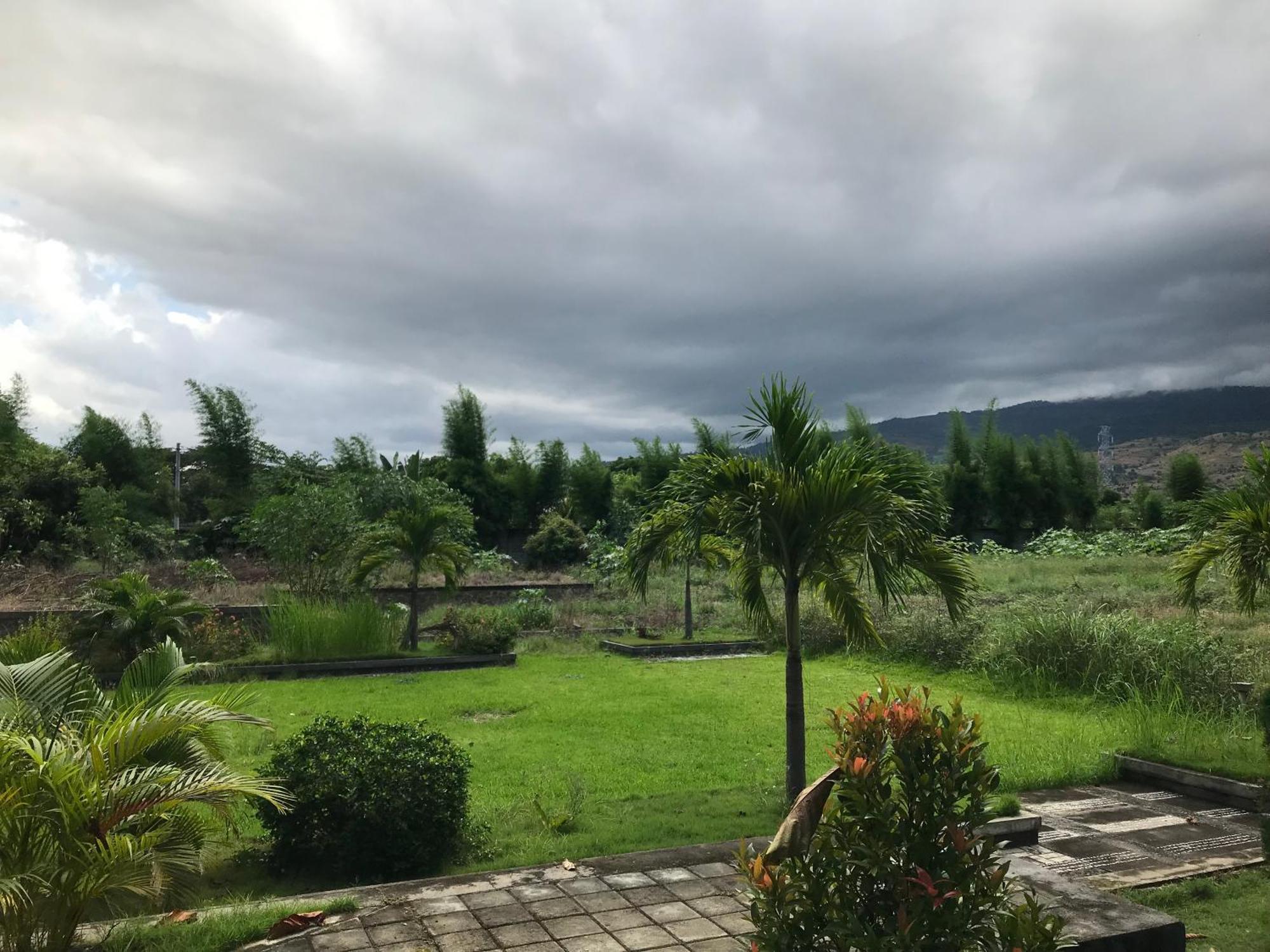 Pohon Purba Resort & Restaurant Labuhan Pandan ภายนอก รูปภาพ