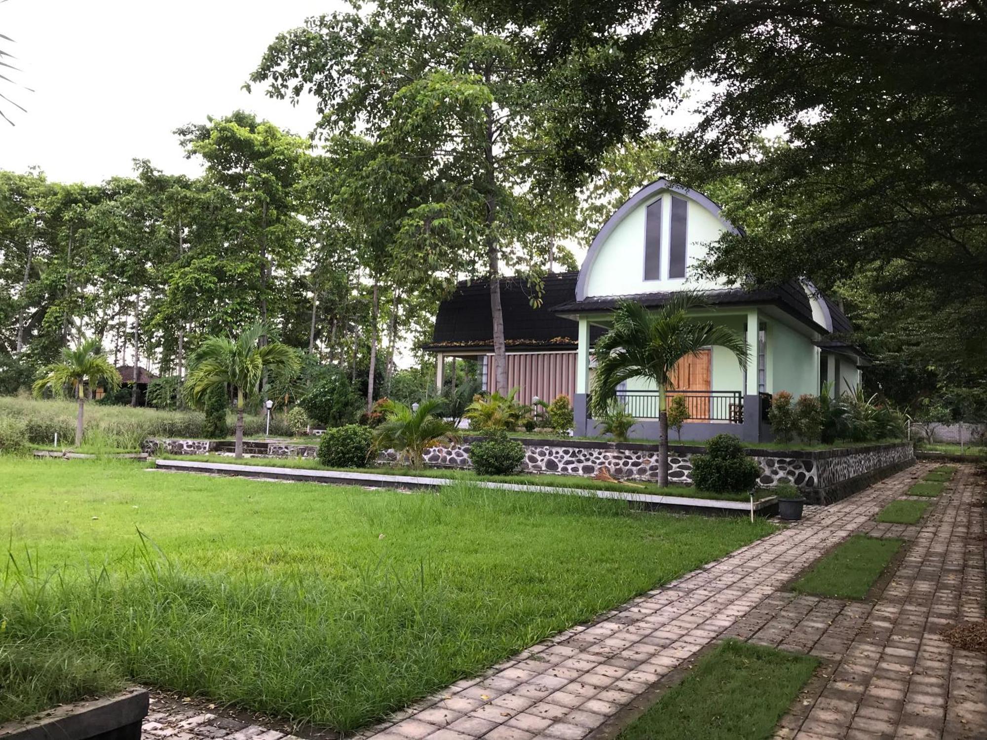 Pohon Purba Resort & Restaurant Labuhan Pandan ภายนอก รูปภาพ