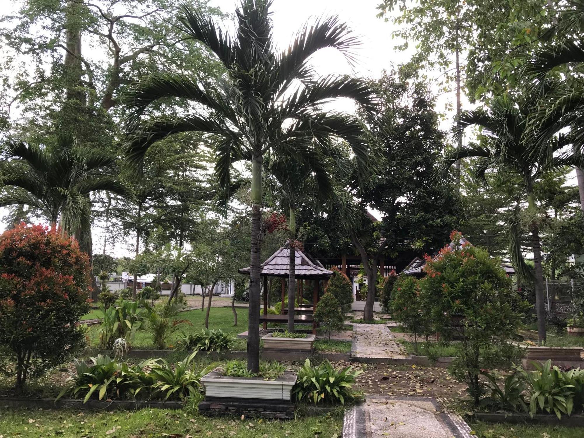 Pohon Purba Resort & Restaurant Labuhan Pandan ภายนอก รูปภาพ