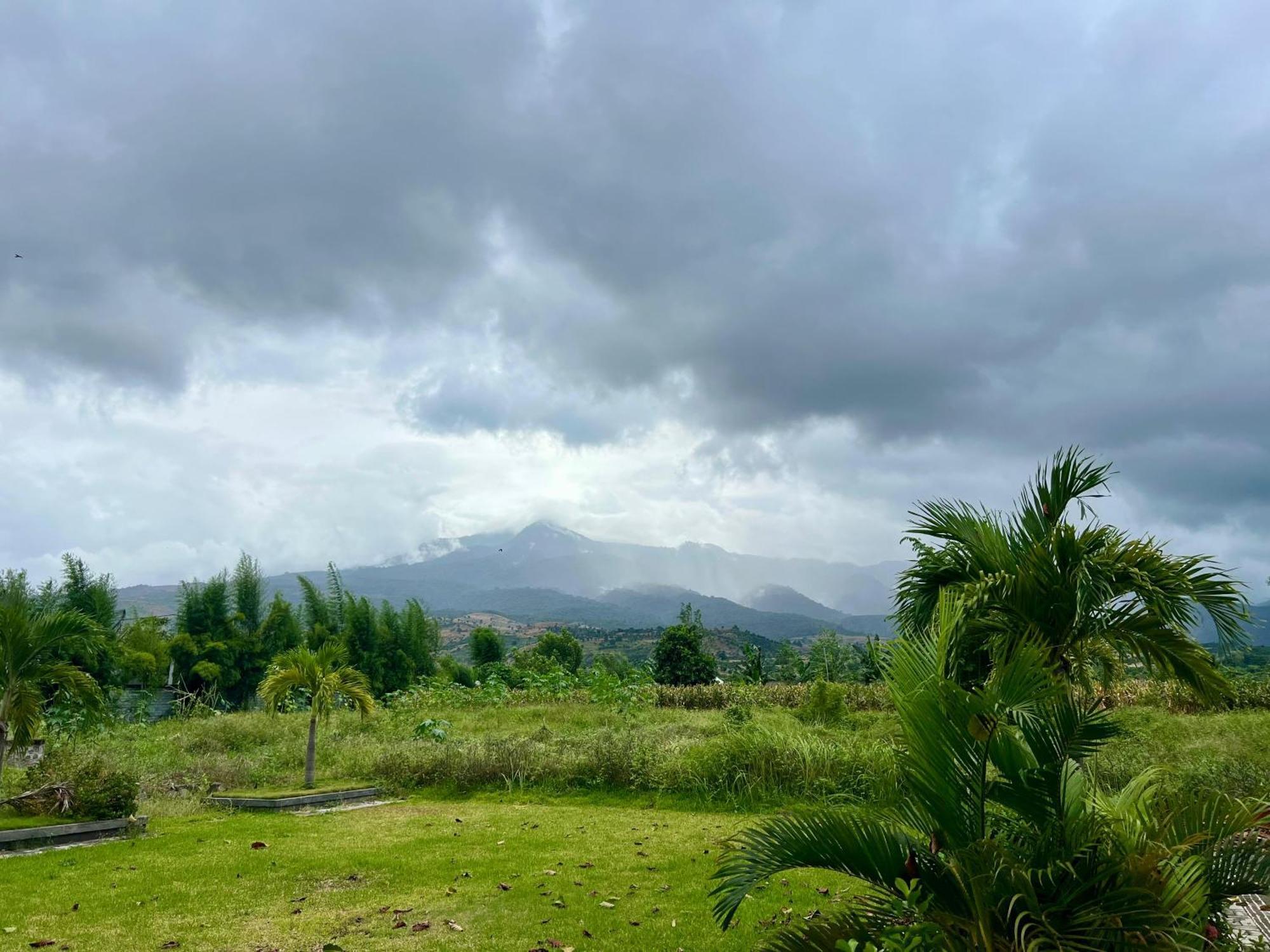 Pohon Purba Resort & Restaurant Labuhan Pandan ภายนอก รูปภาพ