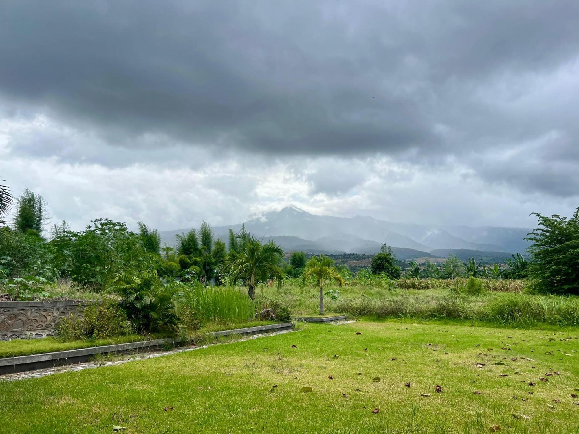 Pohon Purba Resort & Restaurant Labuhan Pandan ภายนอก รูปภาพ